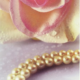 rosa-di-perle-16799